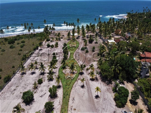 Imagem 8 de 16 de Lote No Condomínio Irauã | 426m² | Praia De Taipus De Fora Península De Maraú | Ba - Te00253 - 69475586