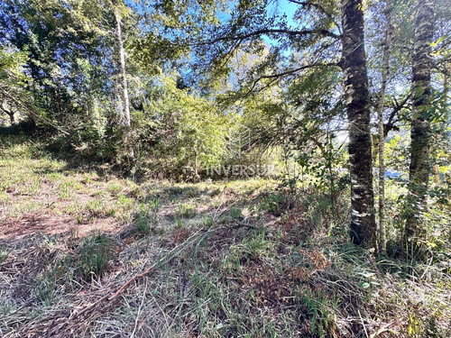 Hermoso Terreno En Arique Ruta Valdivia Los Lagos