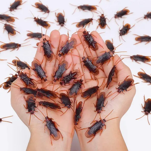 Broma Cucaracha Falsa Insectos Desagradables X10 Y A