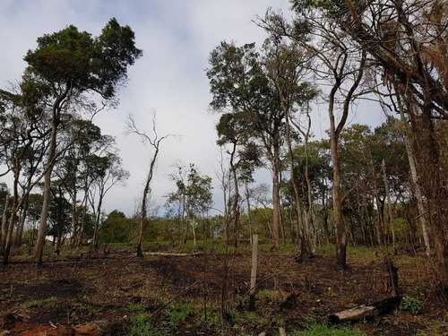 Terrenos Com Preços Imperdíveis. Lindos, Com Uma Linda Vista