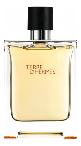 Terre D'hermès Eau De Toilette 100 Ml Para Hombre
