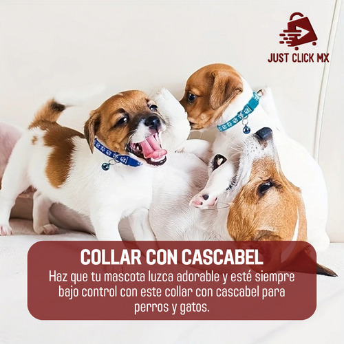 Collar Ajustable Con Cascabel Para Perro Gato Mascotas Hueso Color Negro Huesos Tamaño del collar S