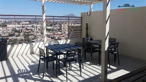 Imagen 17 de 17 de Departamento En Venta En Ed. Parque Alameda