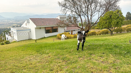 Vendo Casa En Parcelación Campestre Chia Yerbabuena Lote 10500m2 / Casa 450m2 $ 3200 Millones 