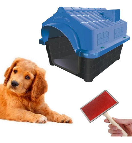 Casa Pet Proteção Uv N4 Azul + Rasqueadeira Tira Pelos Pet