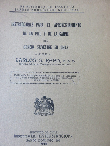 Carlos Reed Conejo Silvestre En Chile Piel Carne - 1930