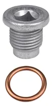 Comprar Kit Tapon Arandela Carter Clio 2 Cliomio Kangoo Megane