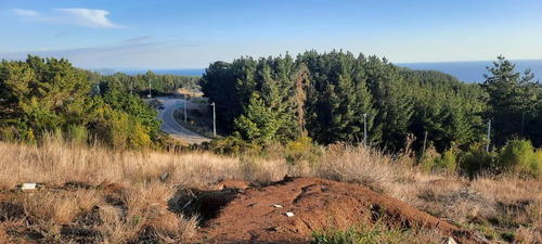 Parcela 3000 M2 En Venta Cobquecura
