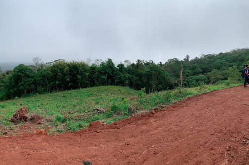 Imagem 13 de 14 de A26 Terreno Com Otima Negociação