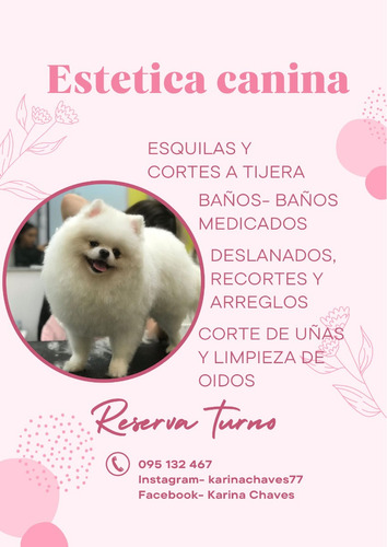 Estética Canina Profesional, Peluqueria Canina