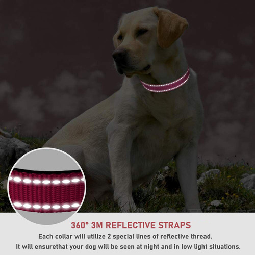 Collar Para Perros Con Hebilla Ajustable De Nailon Reflectan