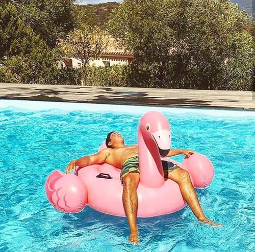 Flamingo Inflable Intex Para Alberca Adulto