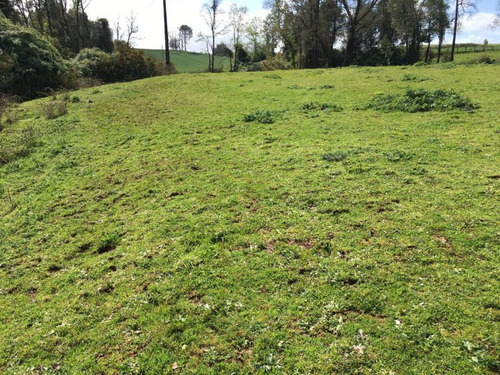 Hermosa Parcela En Rapaco Sector Los Canales La Union