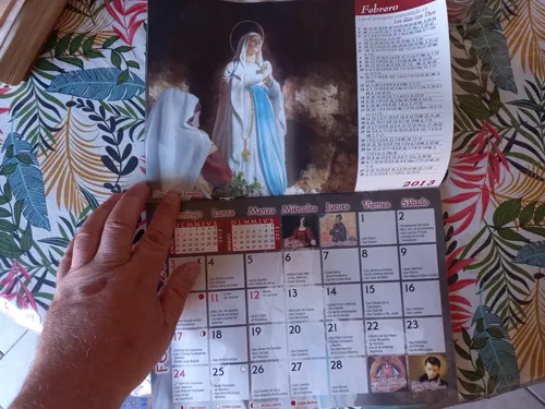 Almanaque Calendario Mariano 2013 (Usado)