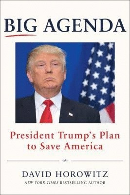 Libro Big Agenda President Trumps Plan To Save Ameri Ingles