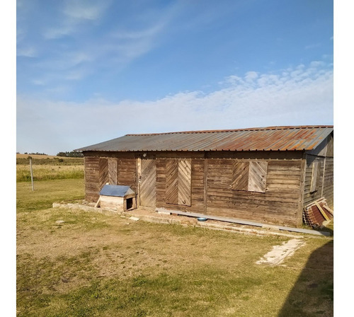 Imagen 7 de 15 de Vendo Linda Chacra Casa, Cabaña De Madera Campo Alto Totalmente Aprovechable, Linda Vista