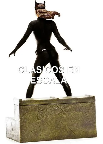 Catwoman Selina Kyle - Dark Knight Rises - Z Diamond Gallery
