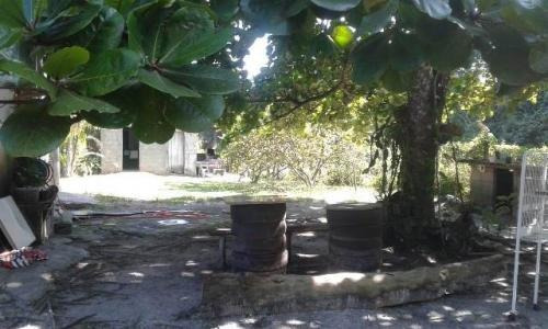 Imagem 4 de 12 de Chácara No Bairro São Fernando Em Itanhaém - 7242