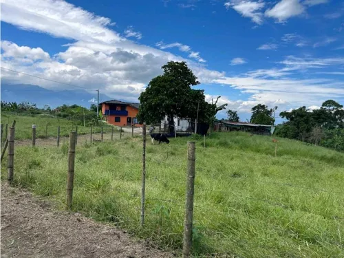 Finca Para La Venta De 5 Cuadras En Circasia