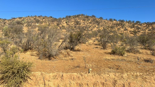 Vende Parcela Con Lomaje Suave De Una Hectarea En Los Maquis