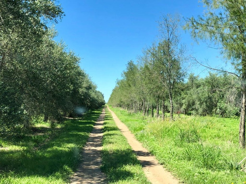 Exclusivo Pre Venta En Barrio Privado En Las Tapias