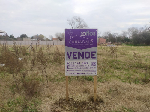 Terreno En Venta En Lobos