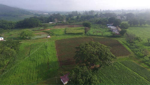 Finca En Sabante Bejuma, Carabobo (ag-jl)