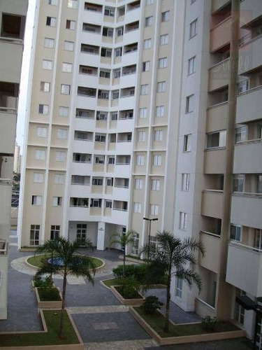 Imagem 23 de 23 de Parque Continental Vendo Lindo Apartamento De Dois Dormitórios - Ap1070
