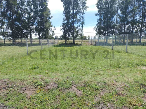 32 Entre 229 Y 230, Venta De Terreno, San Jose La Plata.-