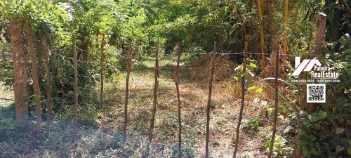 Imagen 4 de 6 de Venta De Finca De 2mz Agricola En Niquinohomo