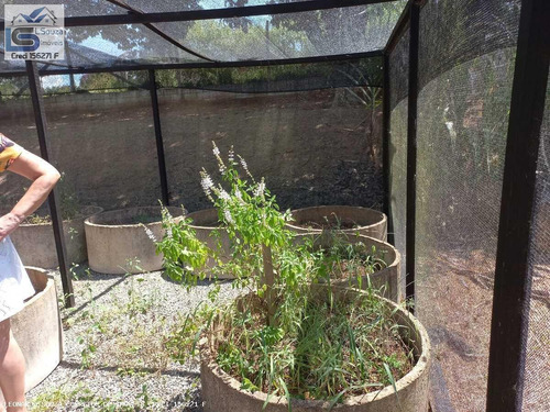 Imagem 4 de 15 de Chácara Para Venda Em Pinhalzinho, Zona Rural, 3 Dormitórios, 1 Suíte, 3 Banheiros, 2 Vagas - 1306_2-1480588