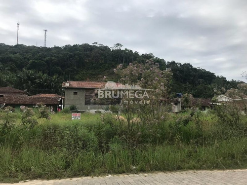 Imagem 5 de 7 de Terreno Guabiruba - 3120