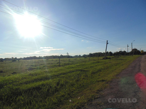 Terreno En Venta En Carmelo, Posibilidad De Fraccionamiento.