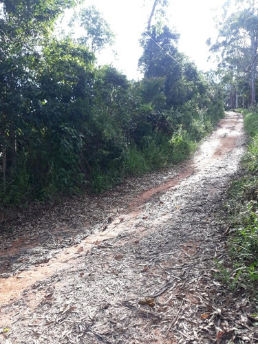 Imagem 7 de 9 de Duas Fazendas 20.000m2 Cada. Caeté A 50km De Bh