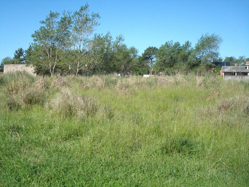 Imagen 5 de 7 de Vendo Lote