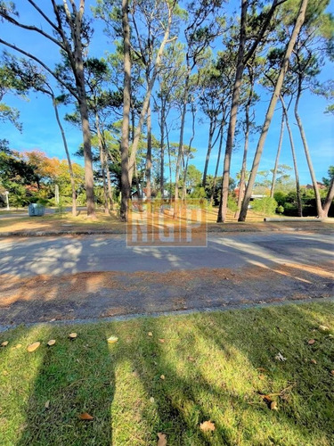 Imagen 28 de 30 de Excelente Casa En Zona Residencial En Mansa
