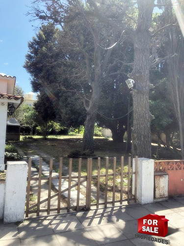 Imagen 4 de 4 de Lote Terreno 600m2 - Excelente Ubicación