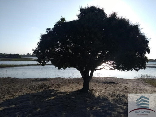Imagem 4 de 15 de Chácara A Venda Beira A Lagoa Da Boa Água