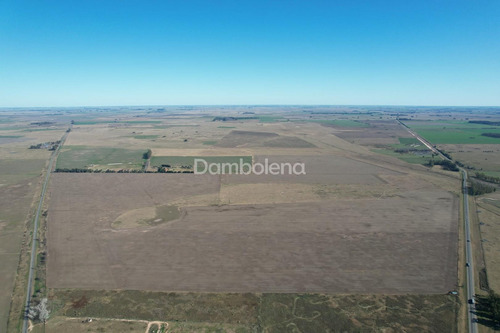 Imagen 18 de 27 de Terreno Campo En Venta En Carmen De Areco, Resto De La Provincia, Buenos Aires