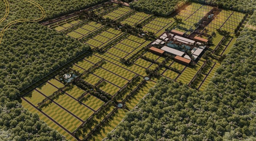 Imagen 2 de 12 de Terrenos En Venta En Santa Clara Yucatan