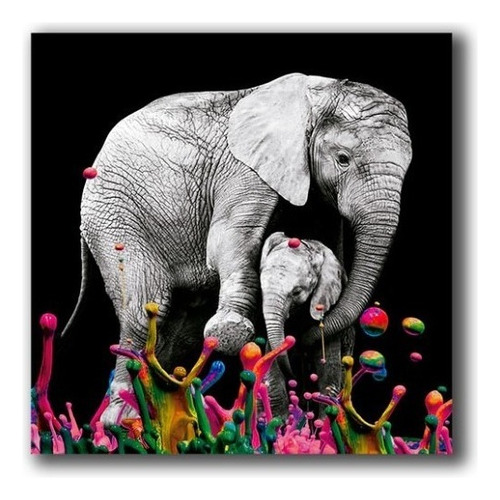 Cuadro Elefante Colores S