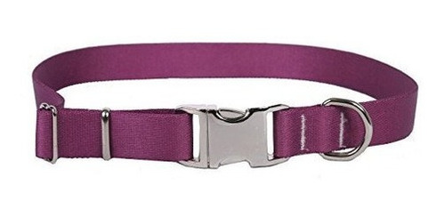 Collar Para Mascota Maciza Esterlina, Extrapequeño 8 - 12