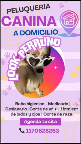 Peluquería Canina A Domicilio Profesional
