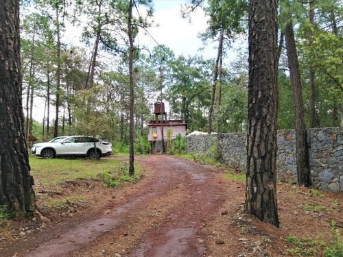 Imagen 3 de 12 de Terreno Huasca De Ocampo 2500 M2 Junto A Cabañas Pinochueco