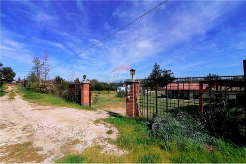 Excelente Parcela De Agrado En Venta En Melipilla