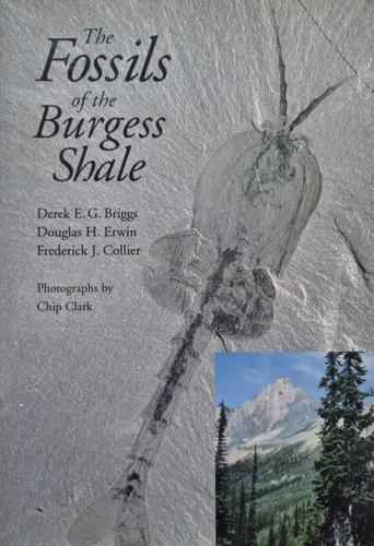 The Fossils Of The Burgess Shale Frederick J. Collier