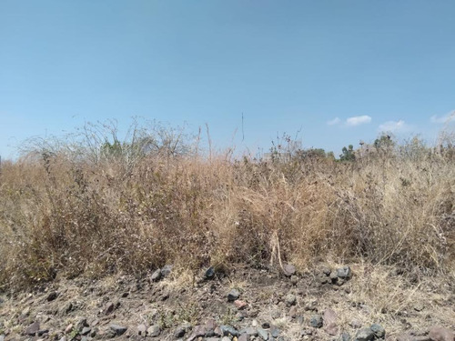 Terreno En Venta En San Juan Texcalpan Morelos