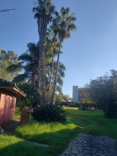 Imagen 5 de 9 de Casa Quinta