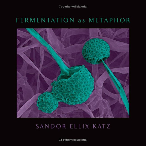 Fermentation As Metaphor