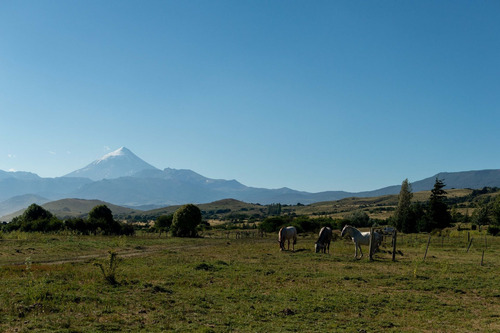 Imagen 5 de 11 de Terreno En Venta Excelentes Vistas A Huechulafquen
